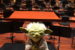yoda-on-stage