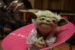 yoda-plays-the-french-horn-a-pink-one-