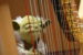 yoda-plays-the-harp