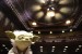 yoda-at-copley-
